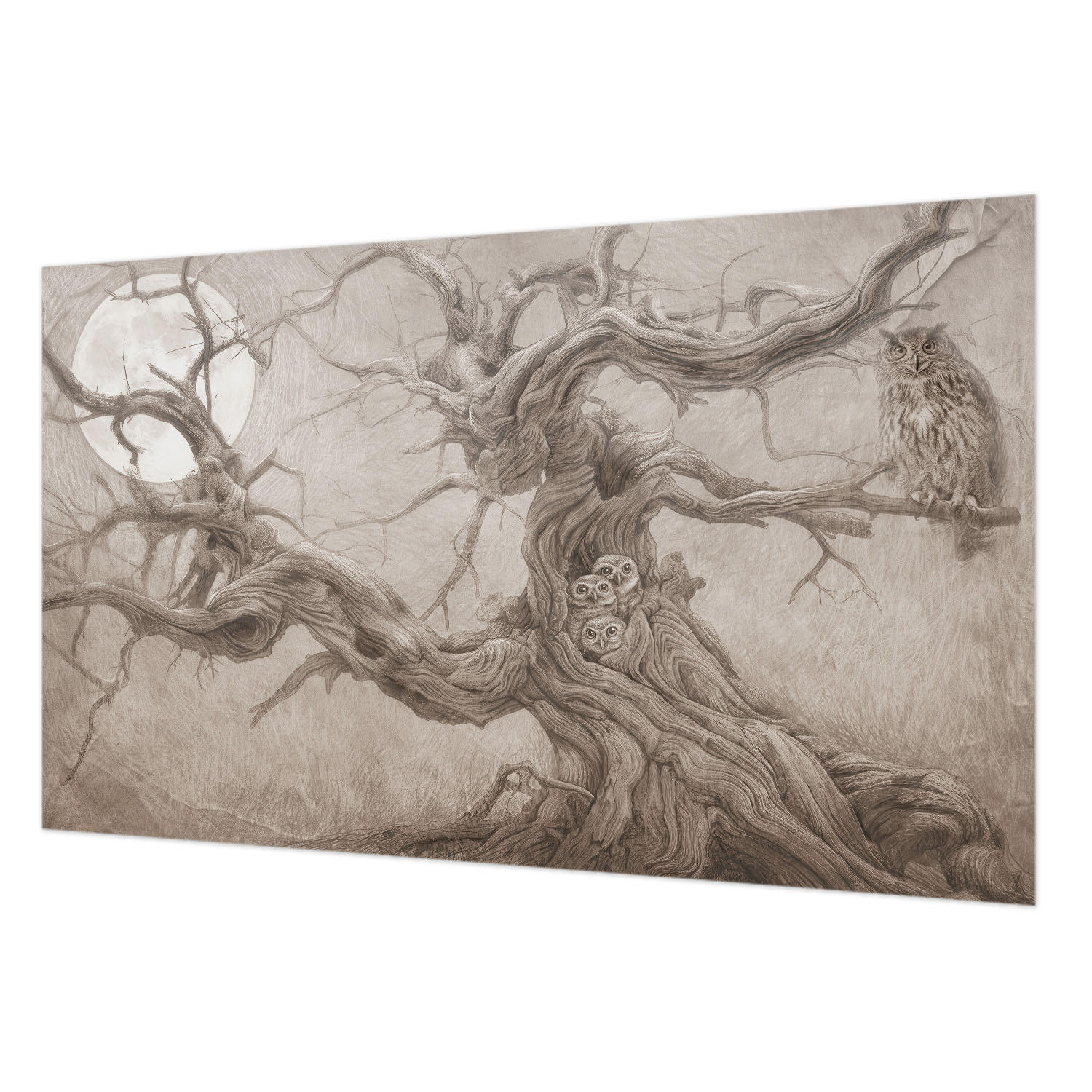 FOTOTAPETE 416x254 cm - Nachtvögel - Beige, Textil (416/254cm) - Wallfluent