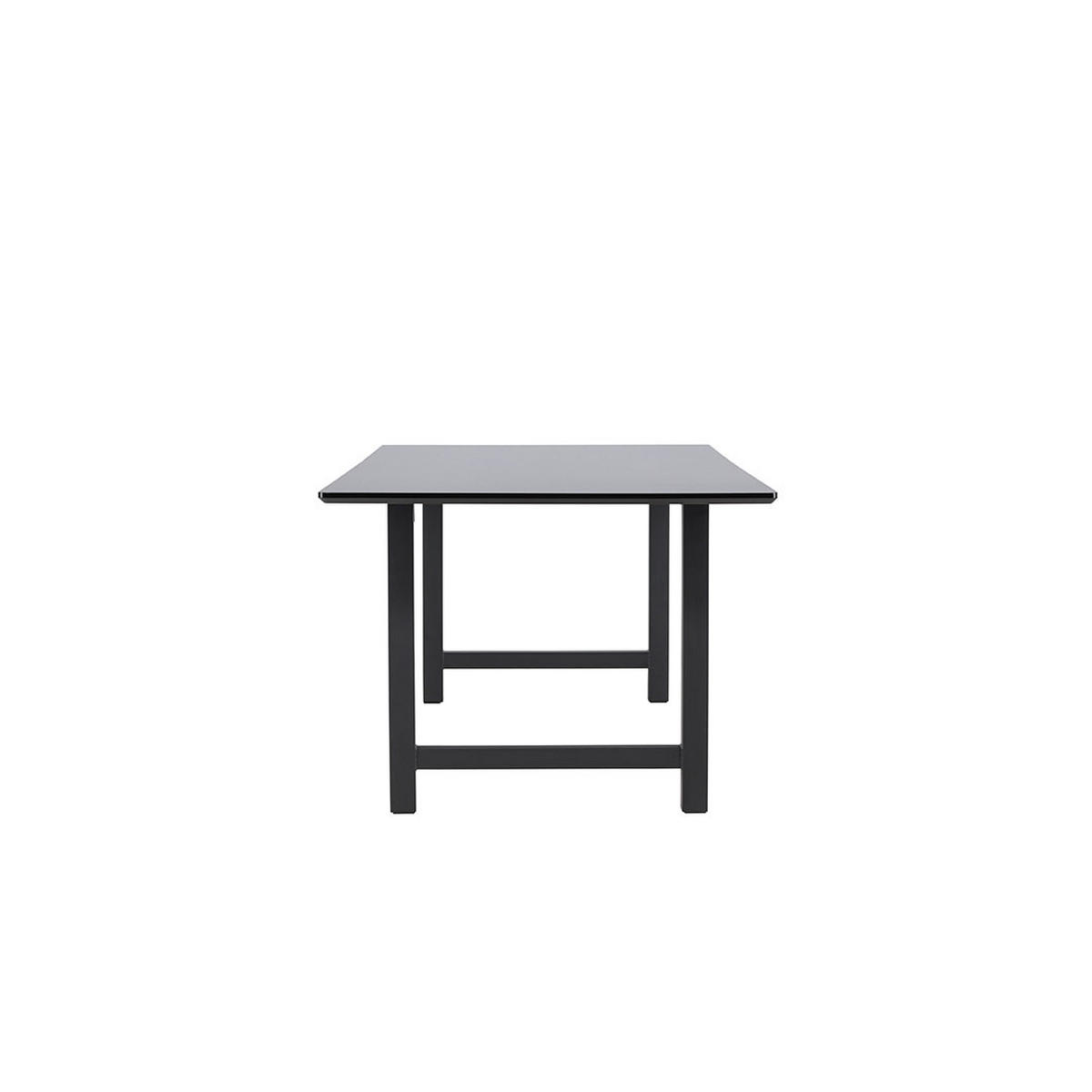 ESSTISCH Schwarz - Schwarz, Holzwerkstoff (100/220/75cm) - ebuy24