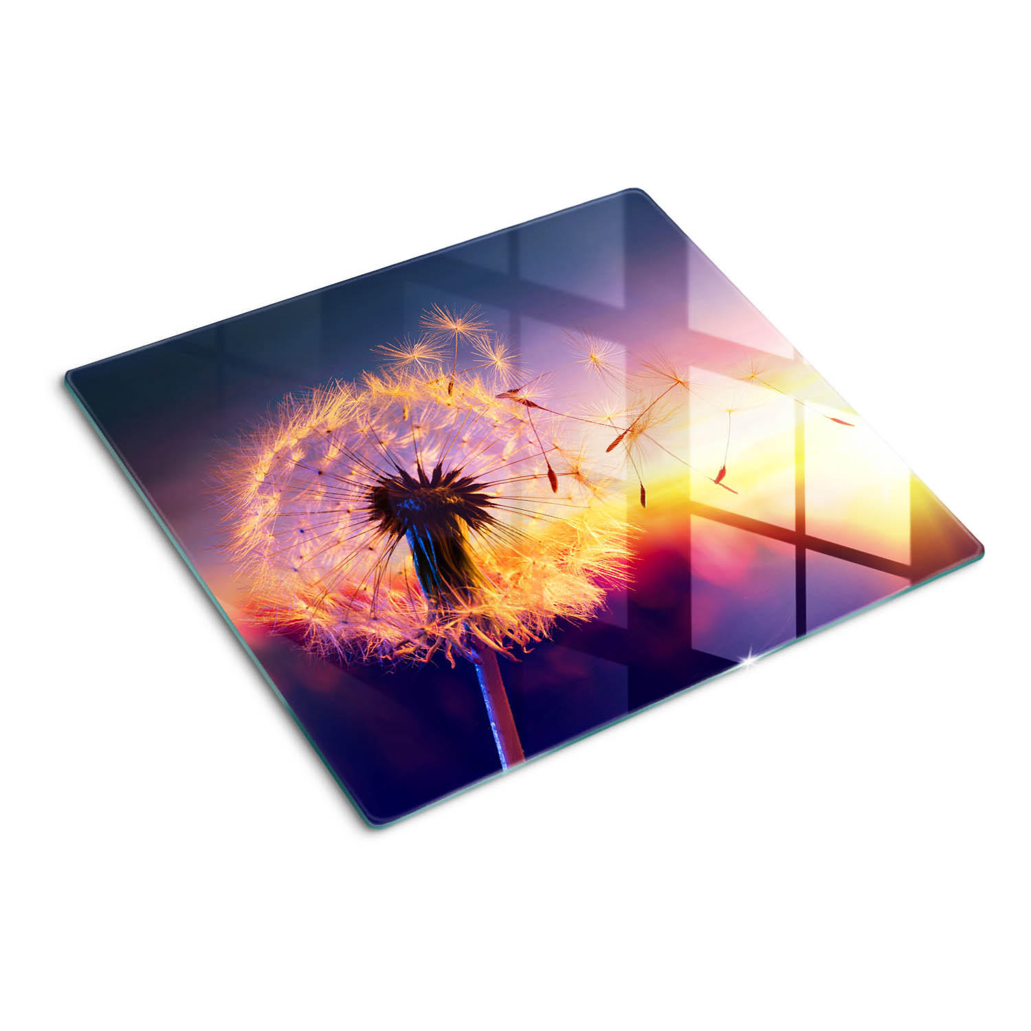GLASPLATTE 60x52 cm Löwenzahn - Multicolor, Glas (60/0.4/52cm) - TULUP