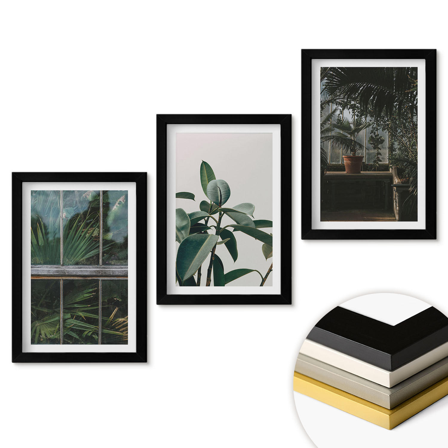 WANDBILDER 3er-Set - 20x30 cm Schwarzer Rahmen - Grüne Blätter an der Fensterpflanze - Schwarz, Kunststoff (20/30cm) - ArtPrintCave