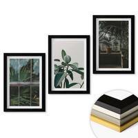WANDBILDER 3er-Set - 20x30 cm Schwarzer Rahmen - Grüne Blätter an der Fensterpflanze - Schwarz, Kunststoff (20/30cm) - ArtPrintCave