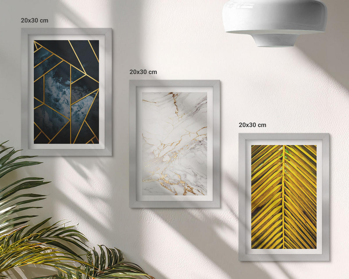 BILDER SET 3er Set - 20x30 cm Silberner Rahmen - Geometrische Muster und Vegetation - Silberfarben, Kunststoff (20/30cm) - TULUP