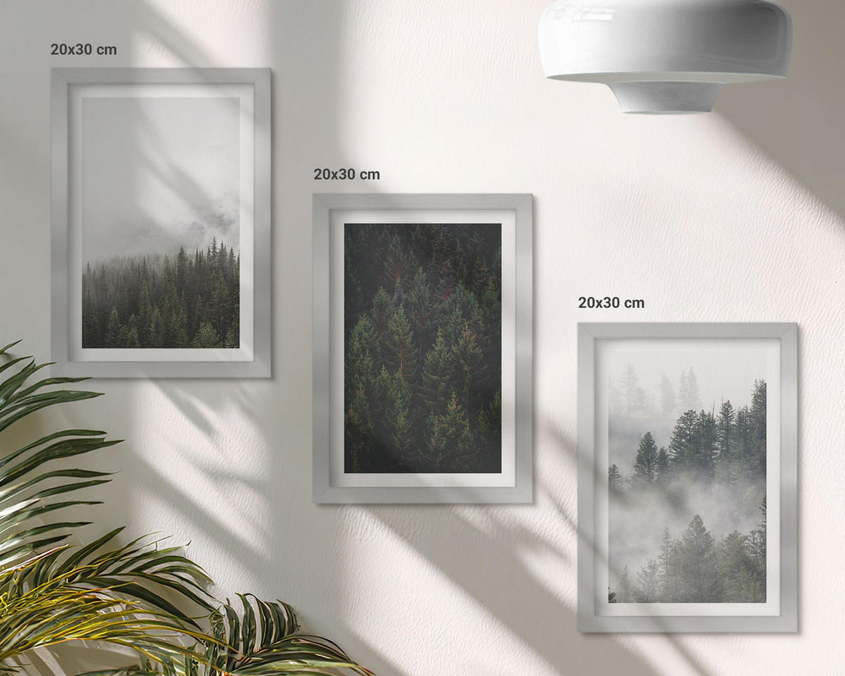 BILDER SET 3er Set - 20x30 cm Silberner Rahmen - Grüne Wälder Nebel Natur - Silberfarben, Kunststoff (20/30cm) - TULUP