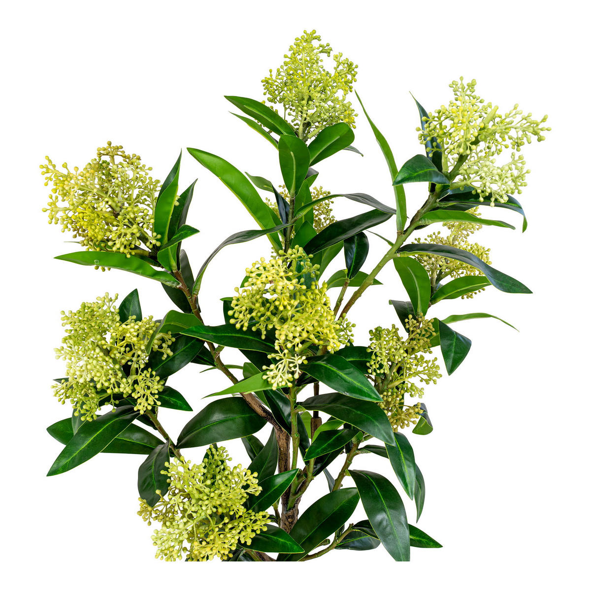 SKIMMIA-BAUM PE-Kunststoff Grün - Grün, Kunststoff (75cm) - tinkaro