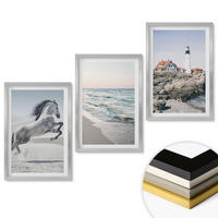 WANDBILDER 3er Set - 40x60 cm Silberner Rahmen - Pferde, Strand, Leuchtturm, Wellen - Silberfarben, Kunststoff (40/60cm) - ArtPrintCave