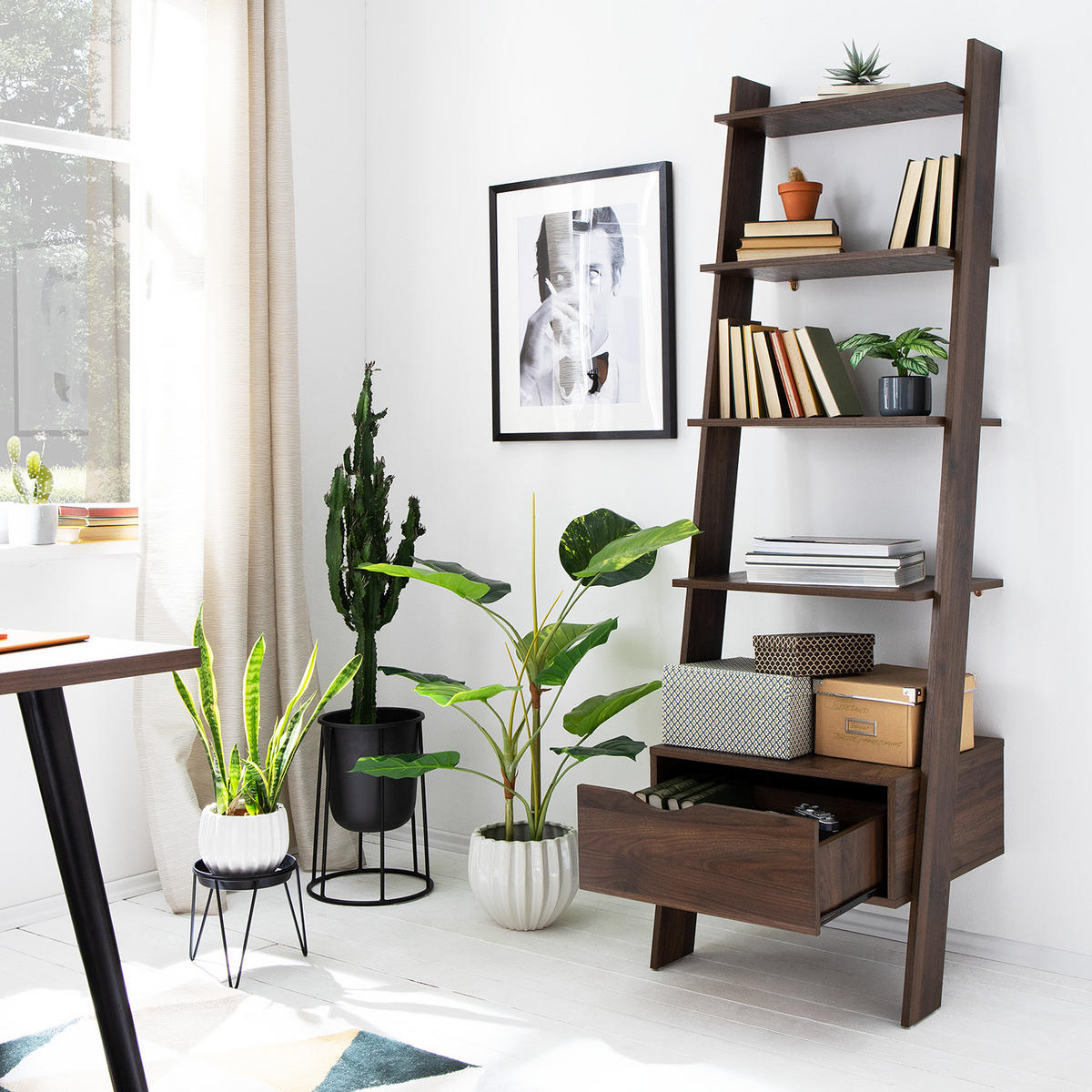 REGAL - Walnuss Dekor - Walnussfarben, Holzwerkstoff (55/180/48cm) - home24