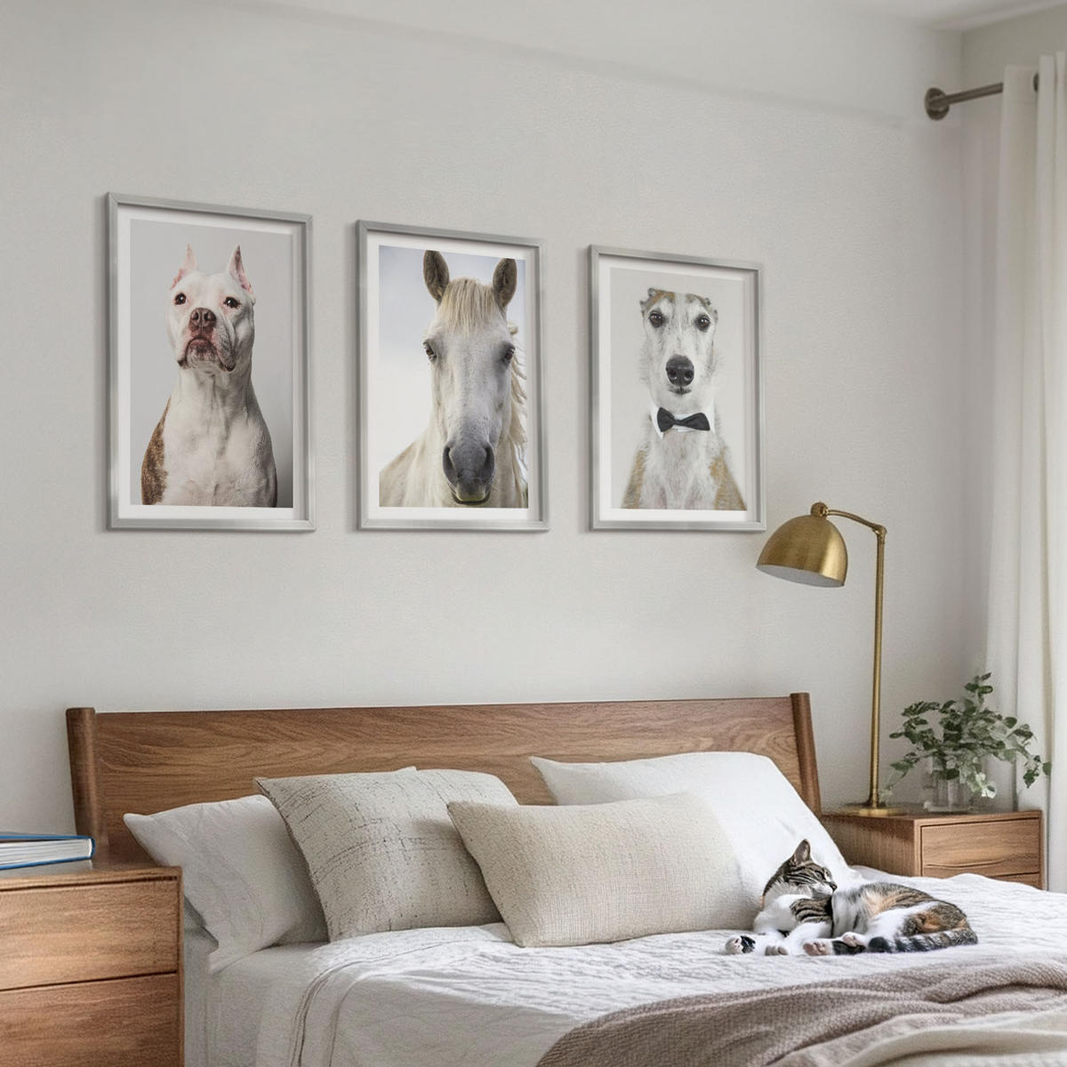 BILDER SET 3er Set - 40x60 cm Silberner Rahmen - Elegante Porträts von Hunden und Pferden - Silberfarben, Kunststoff (40/60cm) - TULUP