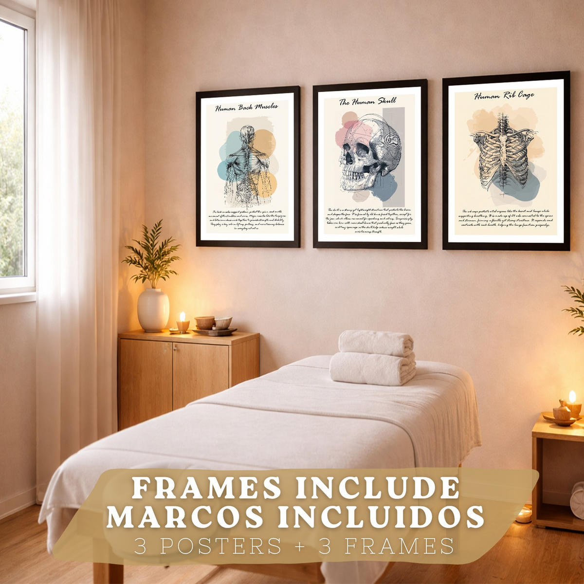POSTER Set aus 3 Anatomie Mensch Lernposter Drucke und Wandbilder mit Muskeln Rücken Brustkorb Schädel Wanddekoration Größe Schwarzer Rahmen A4 - Schwarz, Papier (21/29.7/3cm) - Nacnic