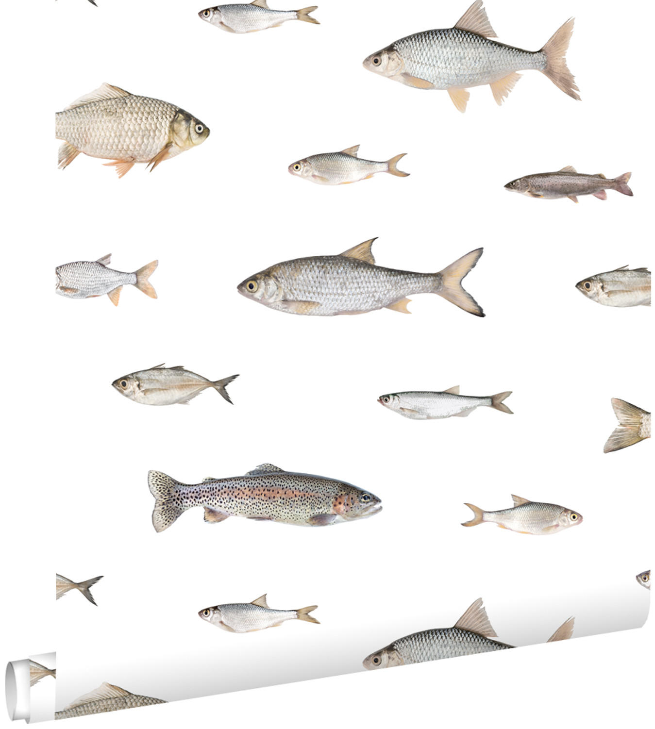 TAPETE Fische 50 x 900 cm - Grau, Papier (50/900cm) - ESTAhome
