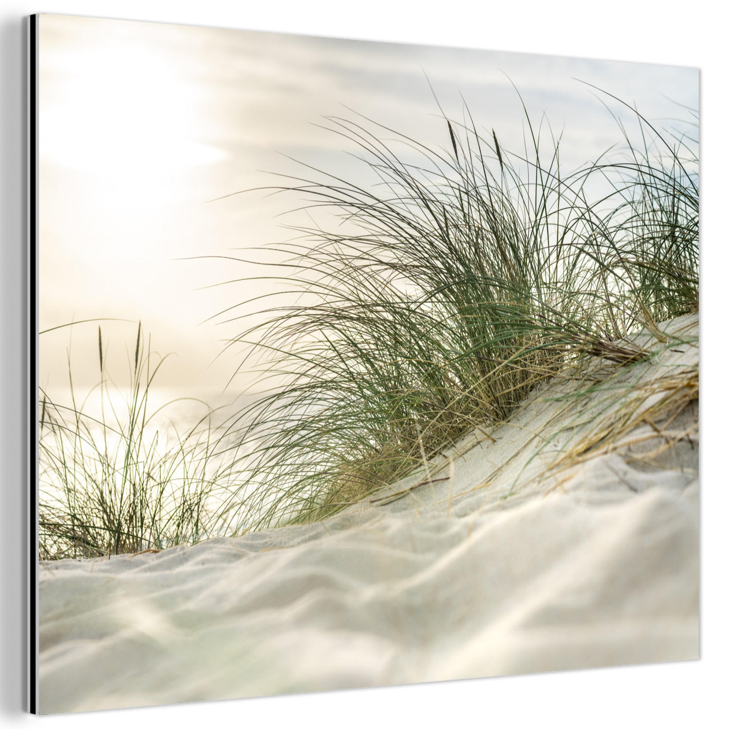 METALLBILD Dünen mit Strandhafer in der Sonne des Nationalparks Schleswig-Holsteinisches Wattenmeer 40x30 cm - Creme, Metall (40/30cm) - MuchoWow