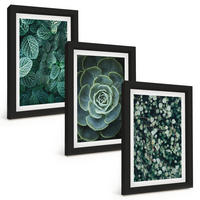 BILDER SET 3er Set - 20x30 cm Schwarzer Rahmen - Sukkulenten - Schwarz, Kunststoff (20/30cm) - TULUP