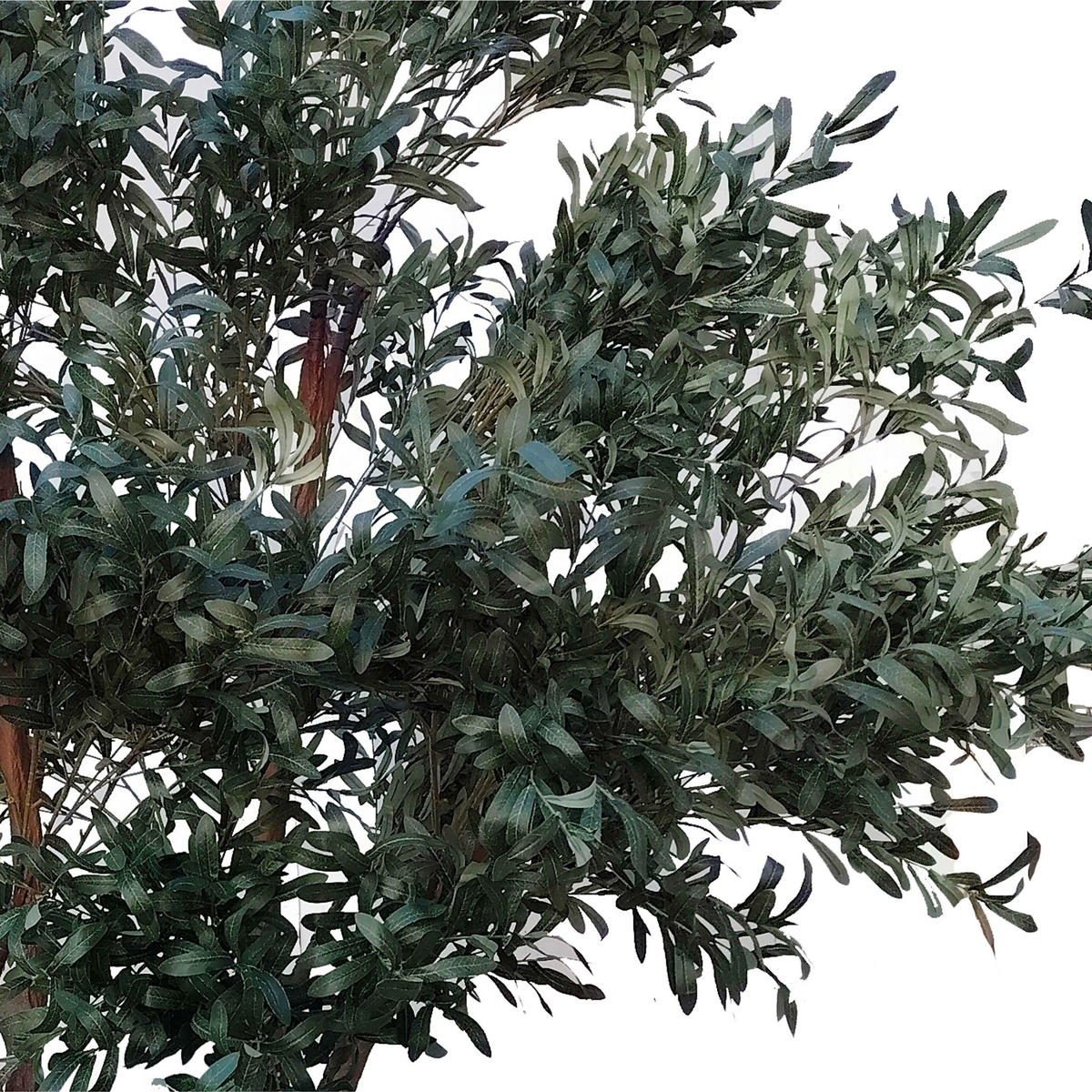 OLIVENBAUM, Künstlich - Grün, Textil (260cm) - Oviala