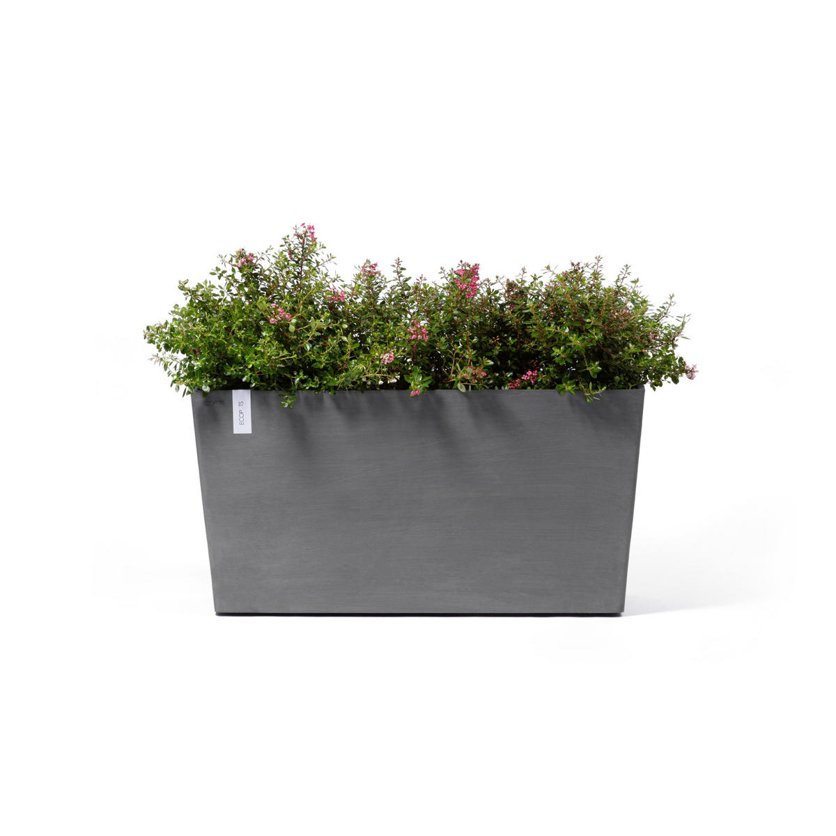 BLUMENTOPF Paris Wheels 100,5/39,6/51,8 cm Grau - Grau, Kunststoff (100.5/51.8cm) - Ecopots