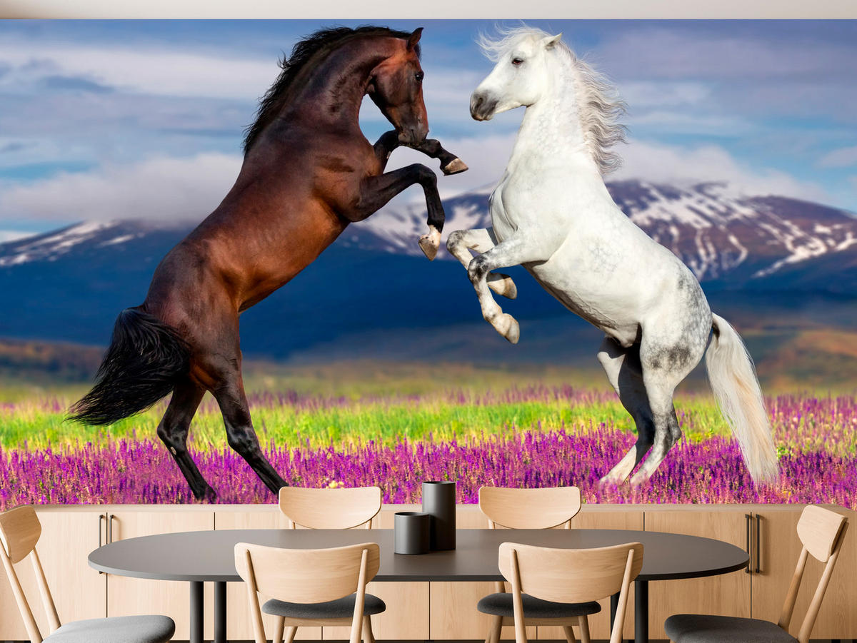 FOTOTAPETA Pre Jedáleň Kone Levanduľové Pole Hory Provensálsko 350 x 256 cm - hnedá/čierna, papier (350/256cm) - Muralo