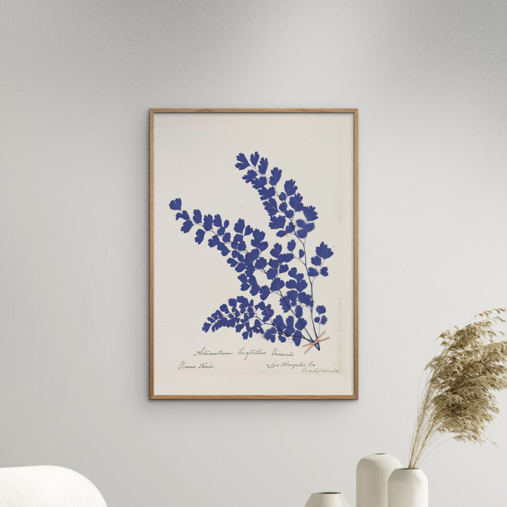 POSTER Wild Apple - Botanical Fern III Blue - Blau, Papier (50/70/0.1cm) - Poster&Frame