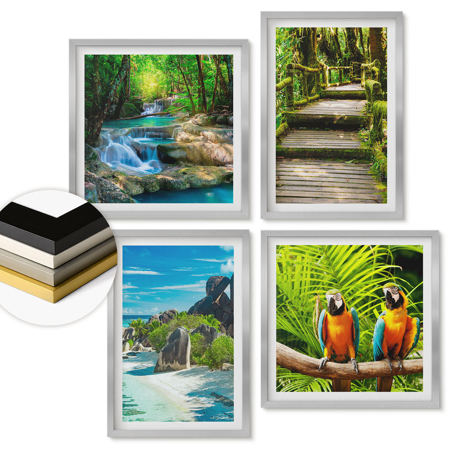 WANDBILDER 4er Set - 50x50 cm & 40x60 cm Silberner Rahmen - Tropischer Wald Papageienwasserfall - Silberfarben, Kunststoff (50/50cm) - ArtPrintCave