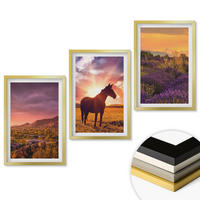WANDBILDER 3er Set - 40x60 cm Goldrahmen - Berglandschaft mit einem Pferd - Goldfarben, Kunststoff (40/60cm) - ArtPrintCave