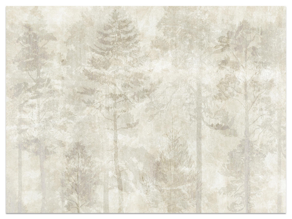 FOTOTAPETE für Wohnzimmer Boho Wald Bäume Beton Abstrakt Vintage Beige 350x256 - Beige/Braun, Papier (350/256cm) - Muralo