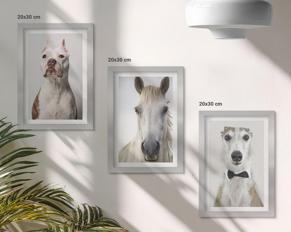 WANDBILDER 3er Set - 20x30 cm Silberner Rahmen - Elegante Porträts von Hunden und Pferden - Silberfarben, Kunststoff (20/30cm) - ArtPrintCave