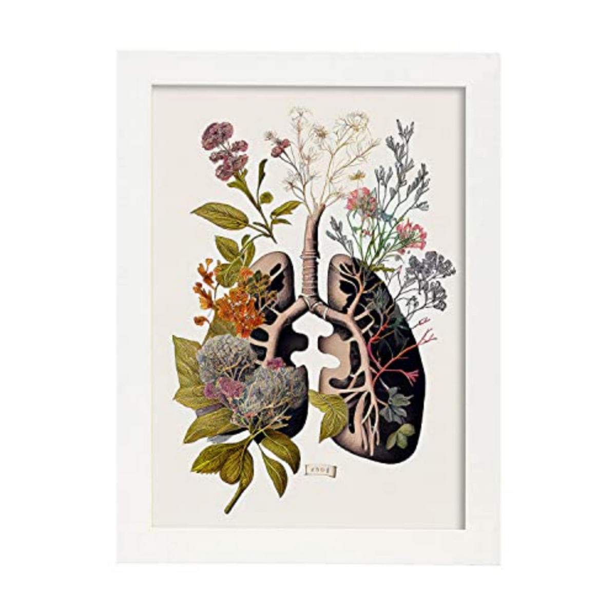 POSTER Anatomie Bronchien A4 Weißer Rahmen - Weiß, Papier (29.7/5/21cm) - Nacnic