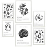 POSTER Set Mit 6 Dekoratives Schwarz-Weißes Pilz A3 & A4 Weißer Rahmen - Weiß, Papier (29/3cm) - Nacnic
