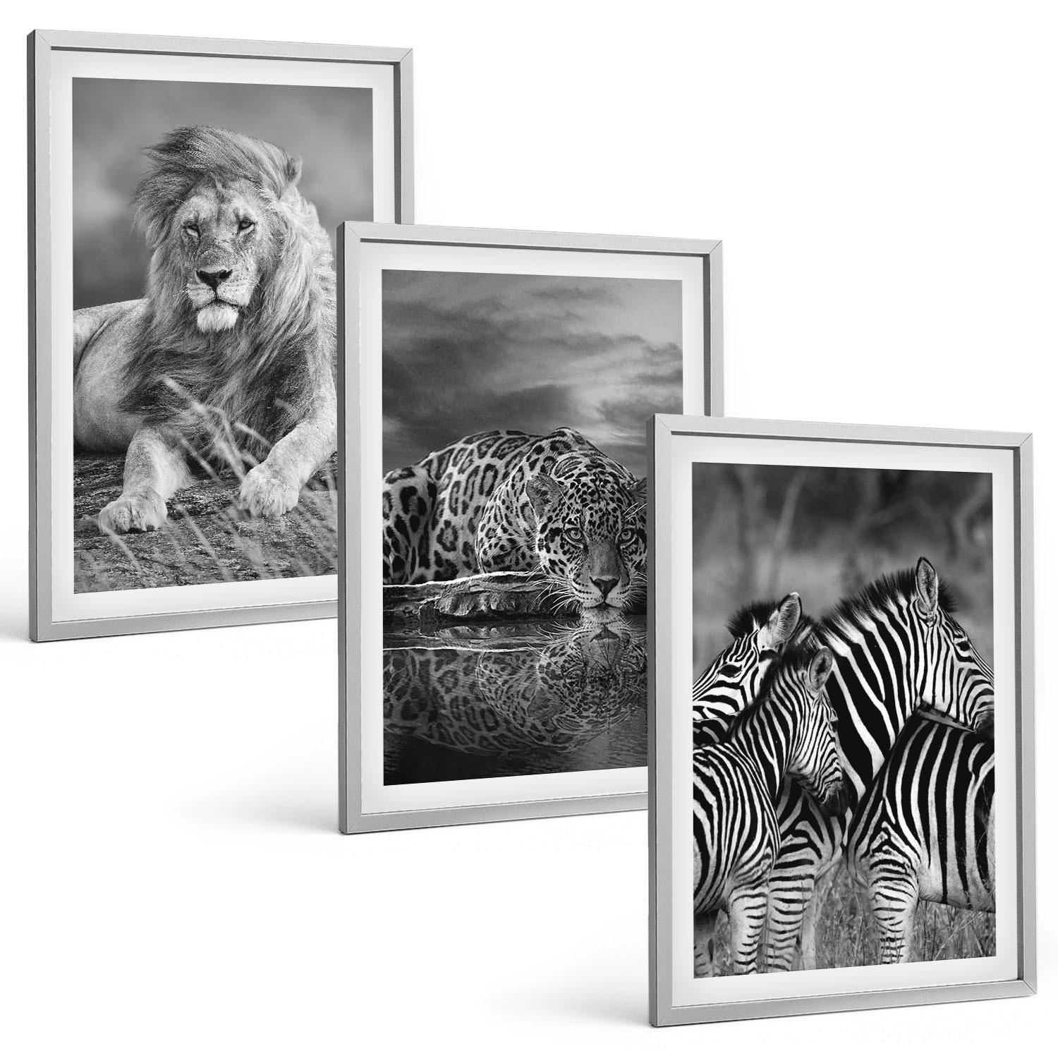BILDER SET 3er Set - 40x60 cm Silberner Rahmen - Wildtiere der Savanne - Silberfarben, Kunststoff (40/60cm) - TULUP