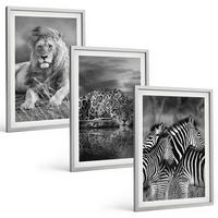 BILDER SET 3er Set - 40x60 cm Silberner Rahmen - Wildtiere der Savanne - Silberfarben, Kunststoff (40/60cm) - TULUP