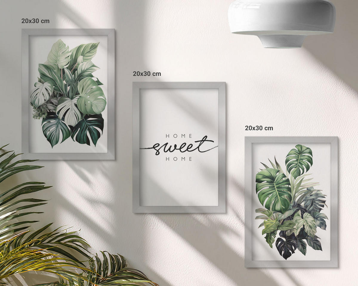 BILDER SET 3er Set - 20x30 cm Silberner Rahmen - Pflanzen mit der Aufschrift „Sweet Home“ - Silberfarben, Kunststoff (20/30cm) - TULUP