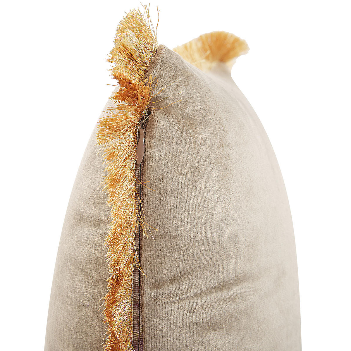DEKOKISSEN 2er-Set Beige 45/45 cm Pothos - Beige, Textil (45/45cm) - Beliani