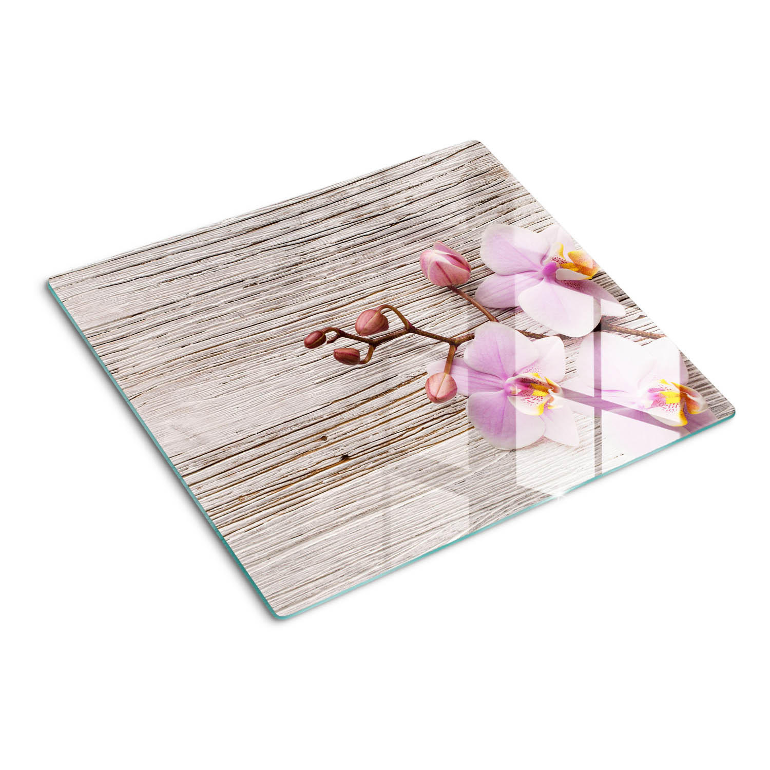GLASPLATTE 60x52 cm Orchidee auf Holz - Beige, Glas (60/0.4/52cm) - TULUP