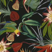 VLIESTAPETE Papagei 1005x52cm - Multicolor/Schwarz, Papier/Kunststoff (52/1000cm) - Superfresco Easy