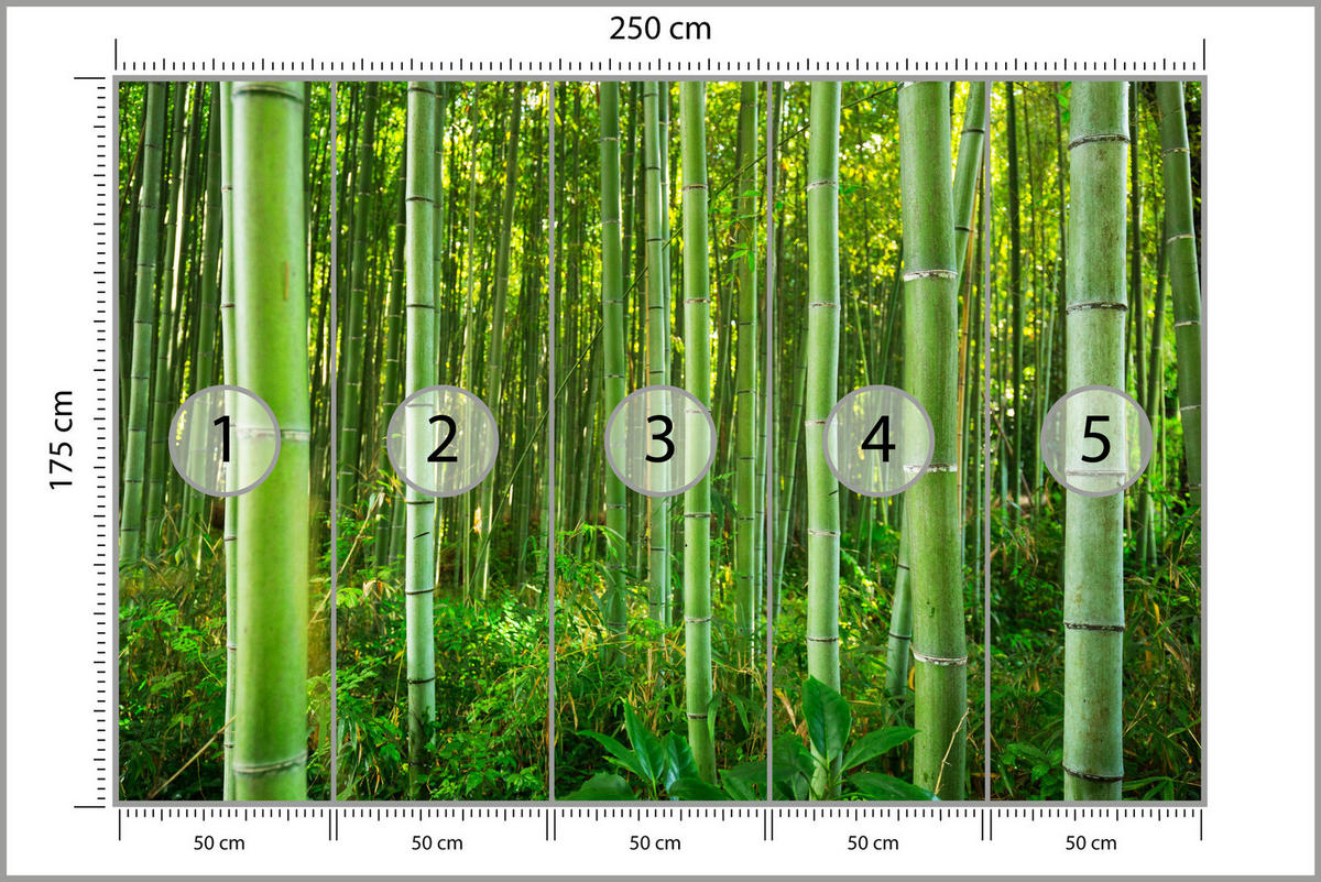 FOTOTAPETA Bambusový Les Rastliny Príroda 3D 250 x 175 cm - žltá/zelená, papier (250/175cm) - Muralo
