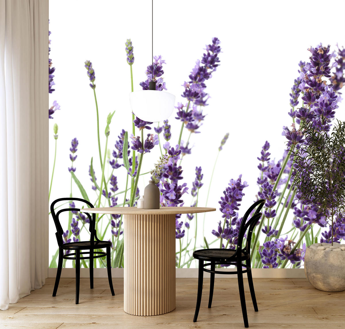 FOTOTAPETE für Küche Lavendelblüten Weißer Hintergrund 300x210 - Violett/Lila, Papier (300/210cm) - Muralo