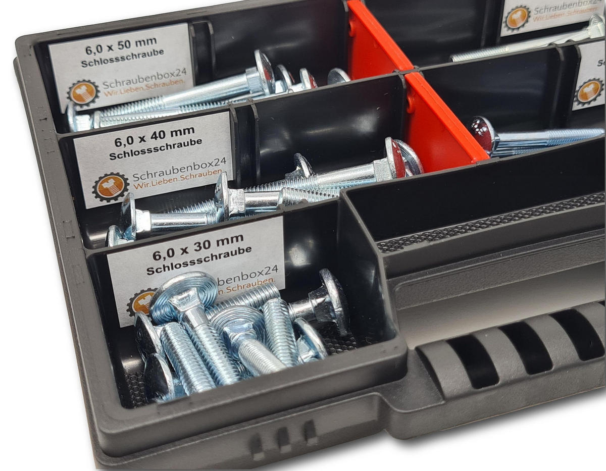 FLACHKOPFSCHRAUBEN Sortiment M5-M6 // 30mm-50mm 60 tlg. Schraubenbox DIN 603 - Zinkfarben, Metall (3.5cm) - Schraubenbox24