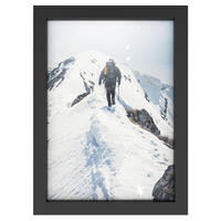 BILDERRAHMEN 32.5/23.8 cm - Schwarz, Glas (23.8/32.5/2cm) - Intirilife