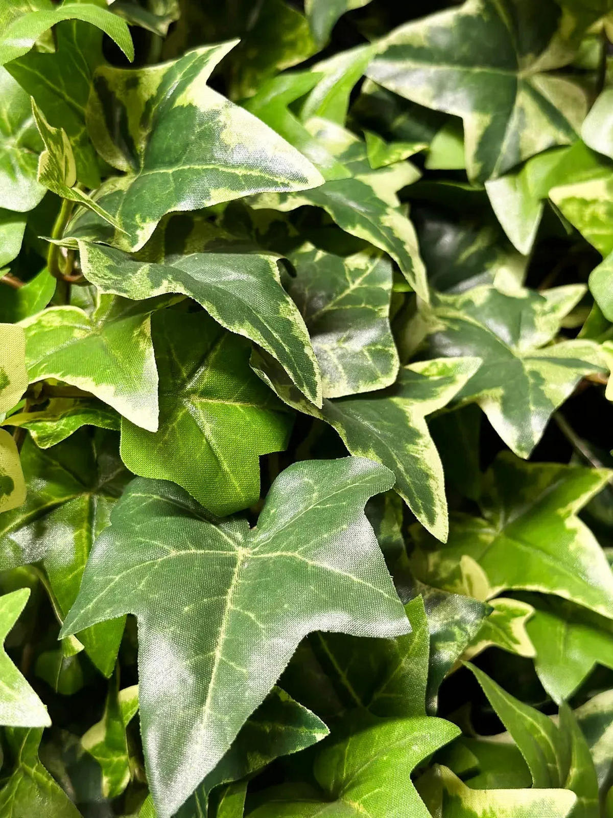 KÜNSTLICHER Efeu - Aurelia 110 cm - Multicolor, Kunststoff (110cm) - aplanta