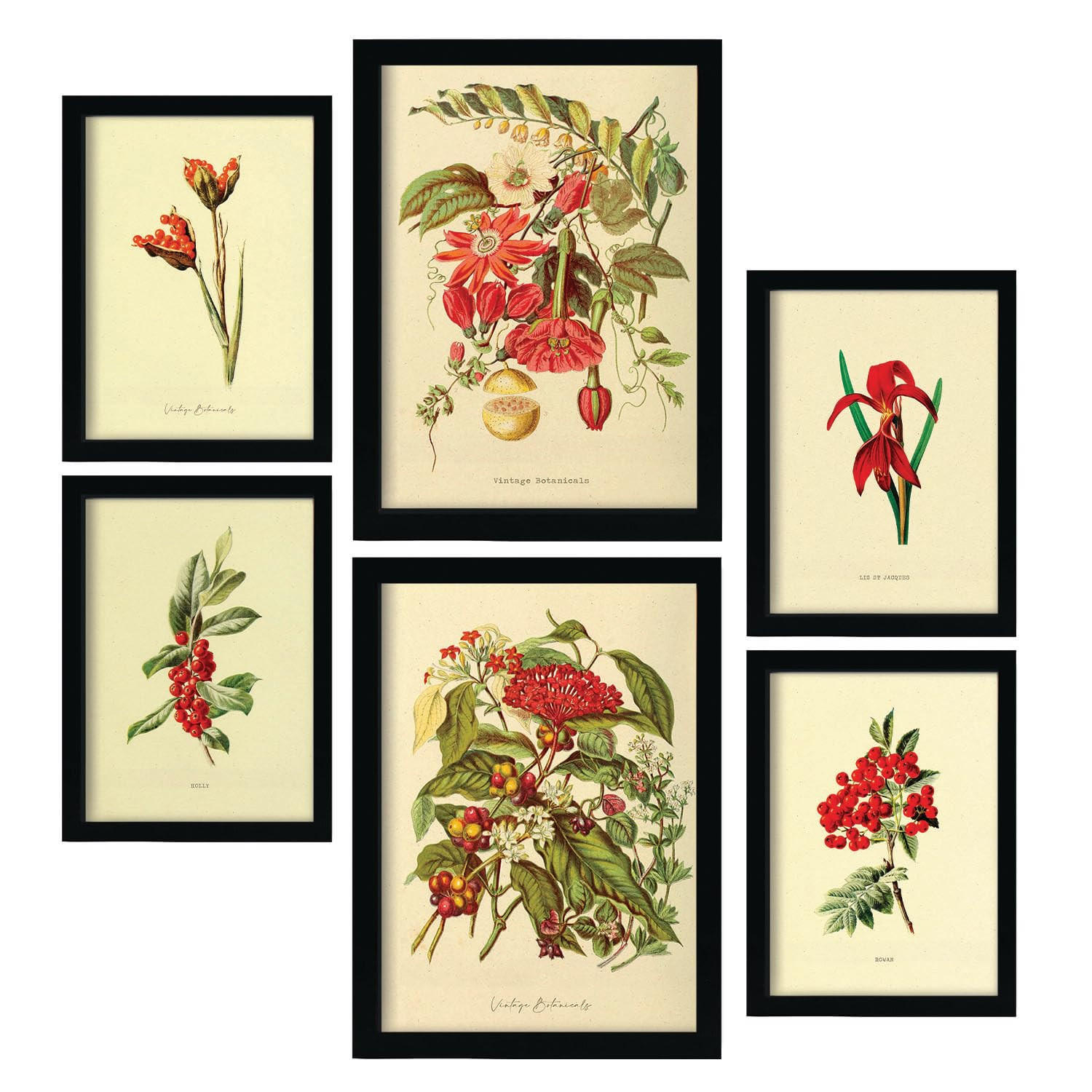 POSTER Set Mit 6 Rote Blumen In Vintage A3 & A4 Schwarzer Rahmen - Schwarz, Papier (29/3cm) - Nacnic