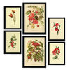 POSTER Set Mit 6 Rote Blumen In Vintage A3 & A4 Rahmenlos - Klar, Papier (29/3cm) - Nacnic