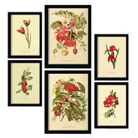 POSTER Set Mit 6 Rote Blumen In Vintage A3 & A4 Schwarzer Rahmen - Schwarz, Papier (29/3cm) - Nacnic