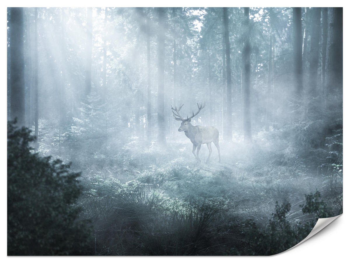 FOTOTAPETE für Wohnzimmer Hirsch Nebelwald Bäume Pflanzen 250x175 - Weiß/Grau, Papier (250/175cm) - Muralo