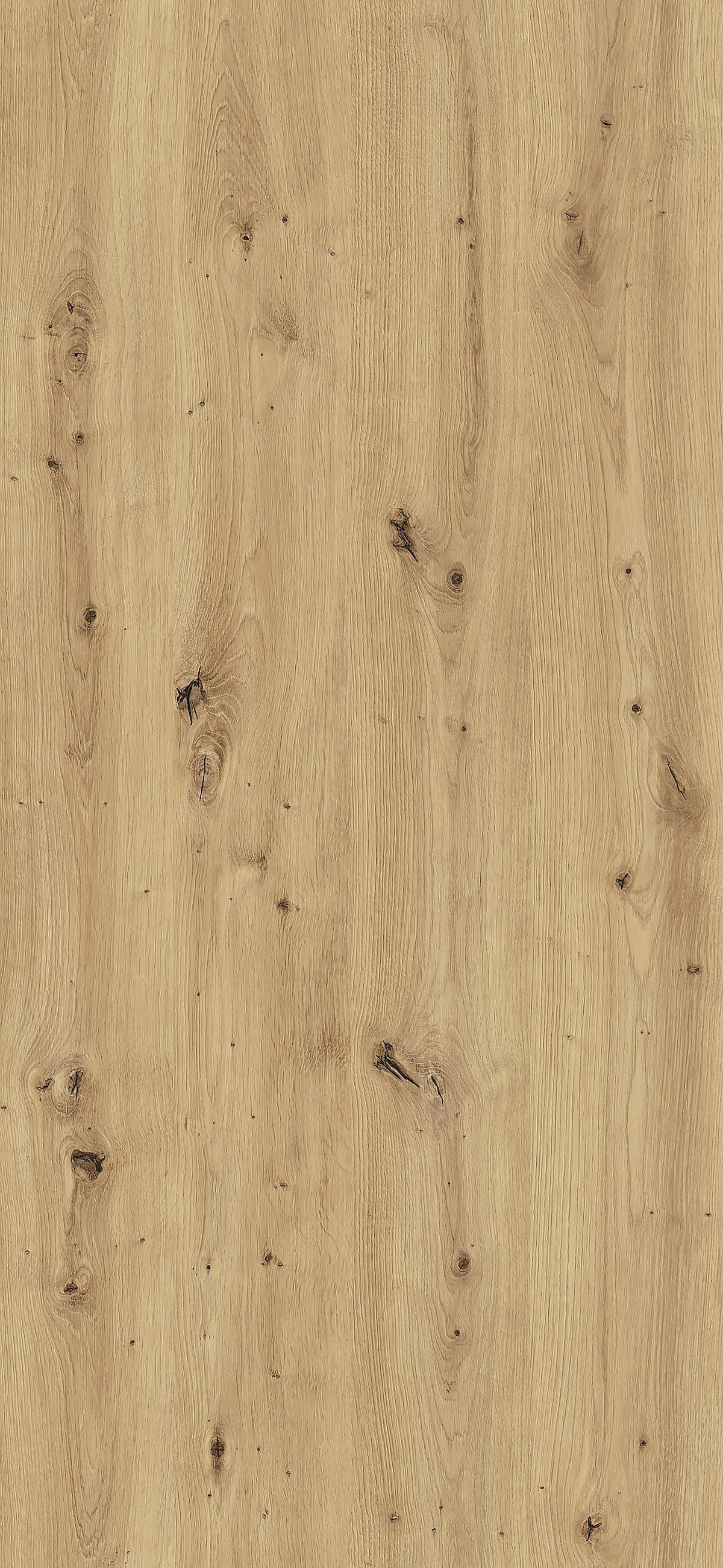 KLEIDERSCHRANK Tally Artisan Eiche / anthrazit 220cm / 60 cm / 210 cm - Eiche Artisan/Braun, Holz/Holzwerkstoff (220/210/60cm) - Feldmann-Wohnen