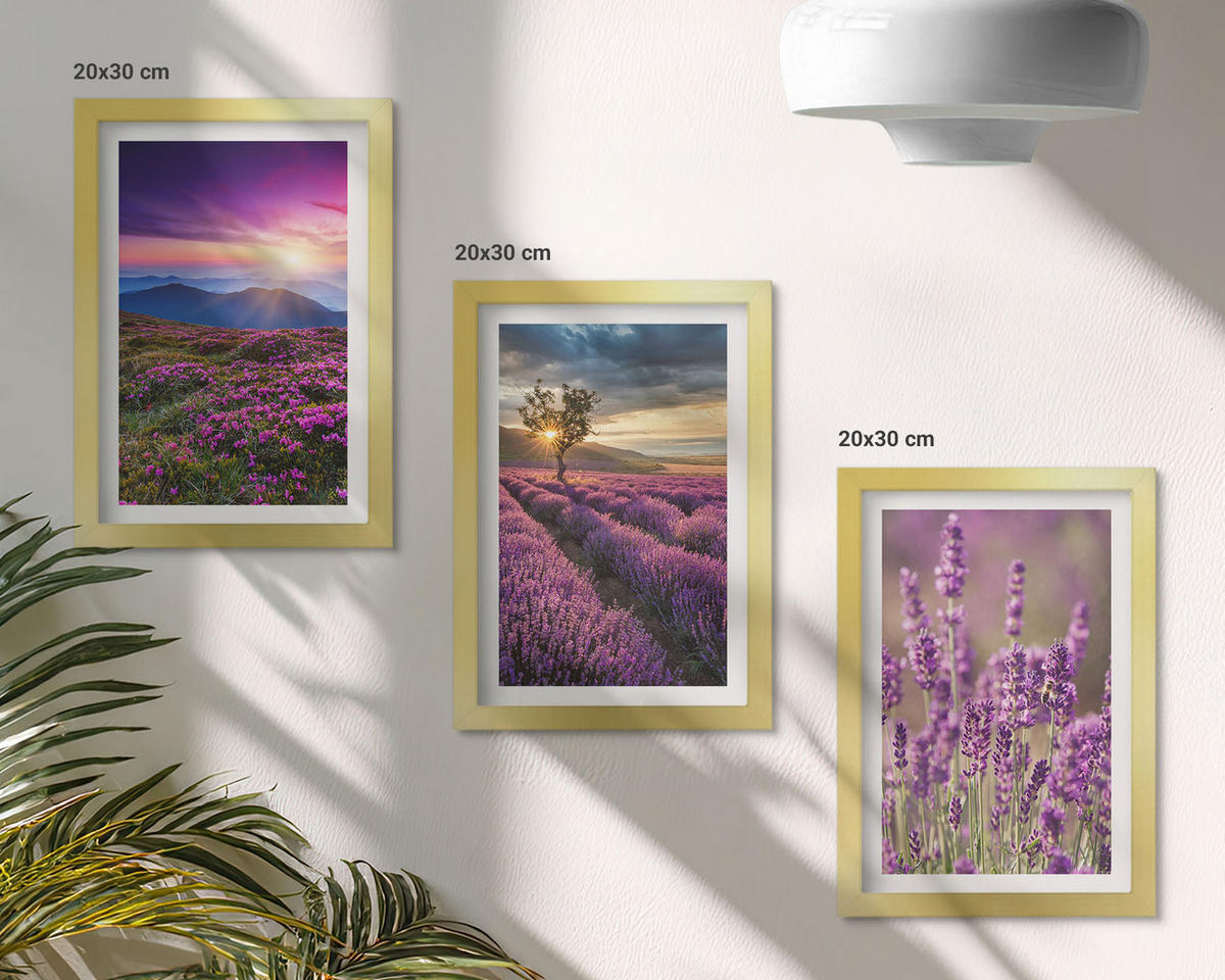 BILDER SET 3er Set - 20x30 cm Goldrahmen - Sonnenuntergang auf Lavendelfeldern - Goldfarben, Kunststoff (20/30cm) - TULUP