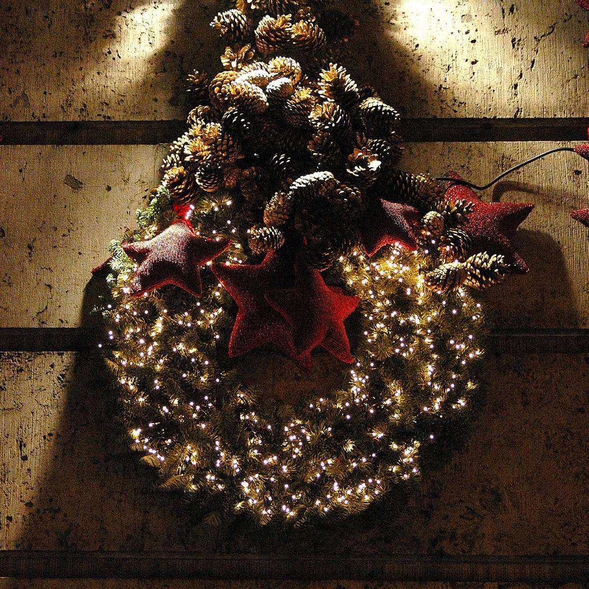 LED CLUSTER LICHTERKETTE 5,5m 768 LED Warmweiß Wetterfest Innen/Außen - Dunkelgrün, Kunststoff (550cm) - ECD-Germany