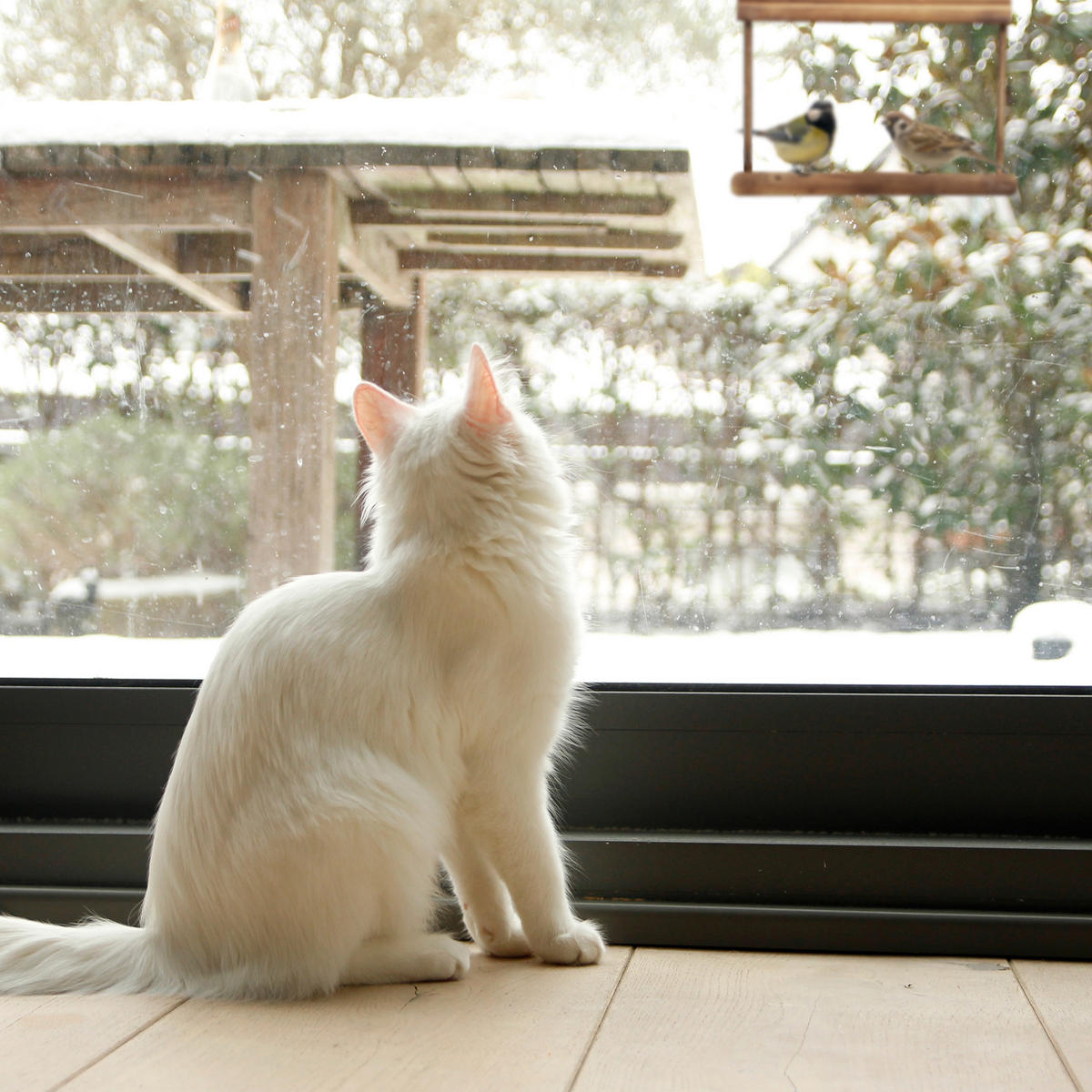 2XVOGELFUTTERHAUS - Hellbraun, Holz (31.5/23.5/8cm) - Relaxdays