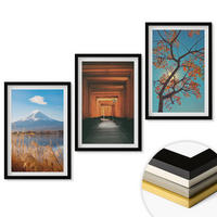 WANDBILDER 3er-Set - 40x60 cm Schwarzer Rahmen - Japanische Naturlandschaften - Schwarz, Kunststoff (40/60cm) - ArtPrintCave
