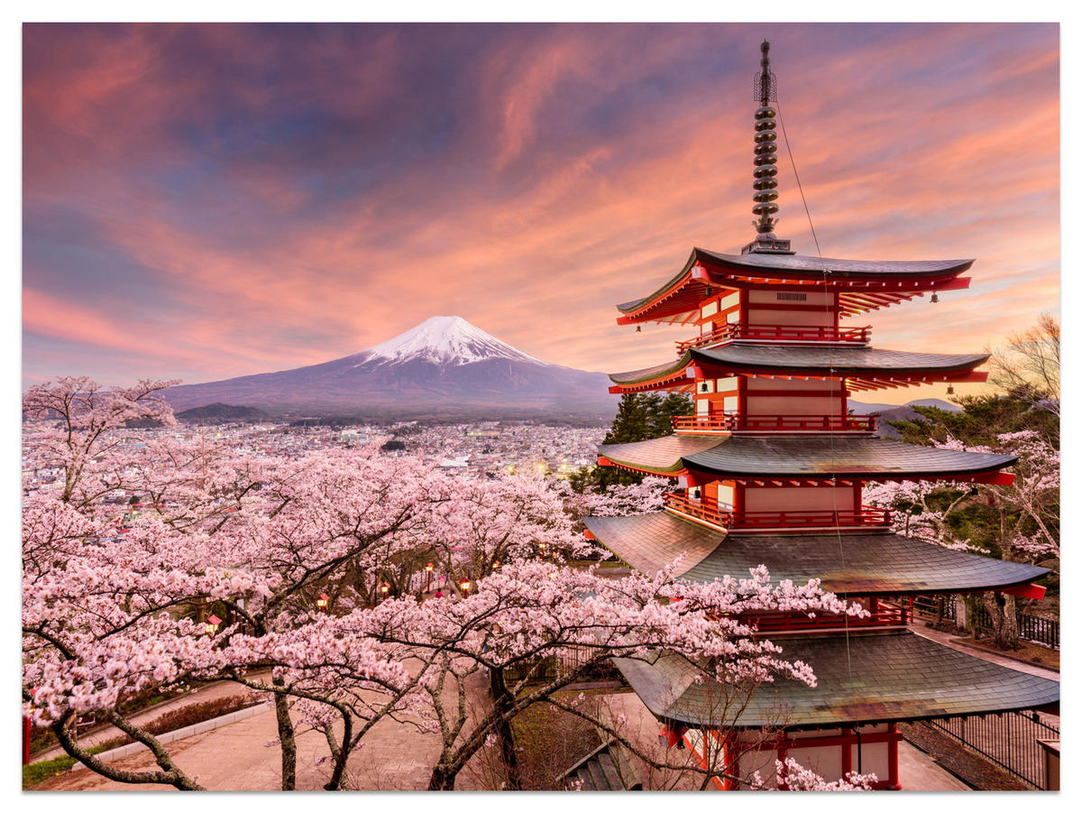 FOTOTAPETE Pagode Berg Fuji Sakura Landschaft 3D 200x140 - Rot/Violett, Papier (200/140cm) - Muralo