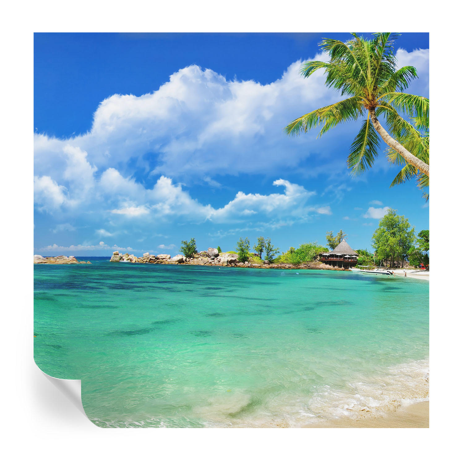 FOTOTAPETE 250x250 cm - Tropisches Paradies - Blau, Textil (250/250cm) - Wallfluent