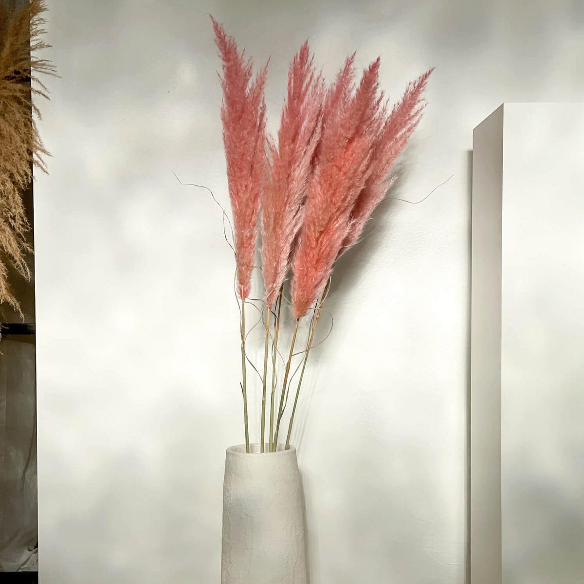 PAMPASGRAS pink - pink / 80 cm - Rosa, Naturmaterialien (80cm) - Lykke & You