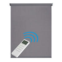 VERDUNKELUNGSROLLO motorisierte Grau 120x250 cm - Grau, Kunststoff (120/250cm) - STORESDECO