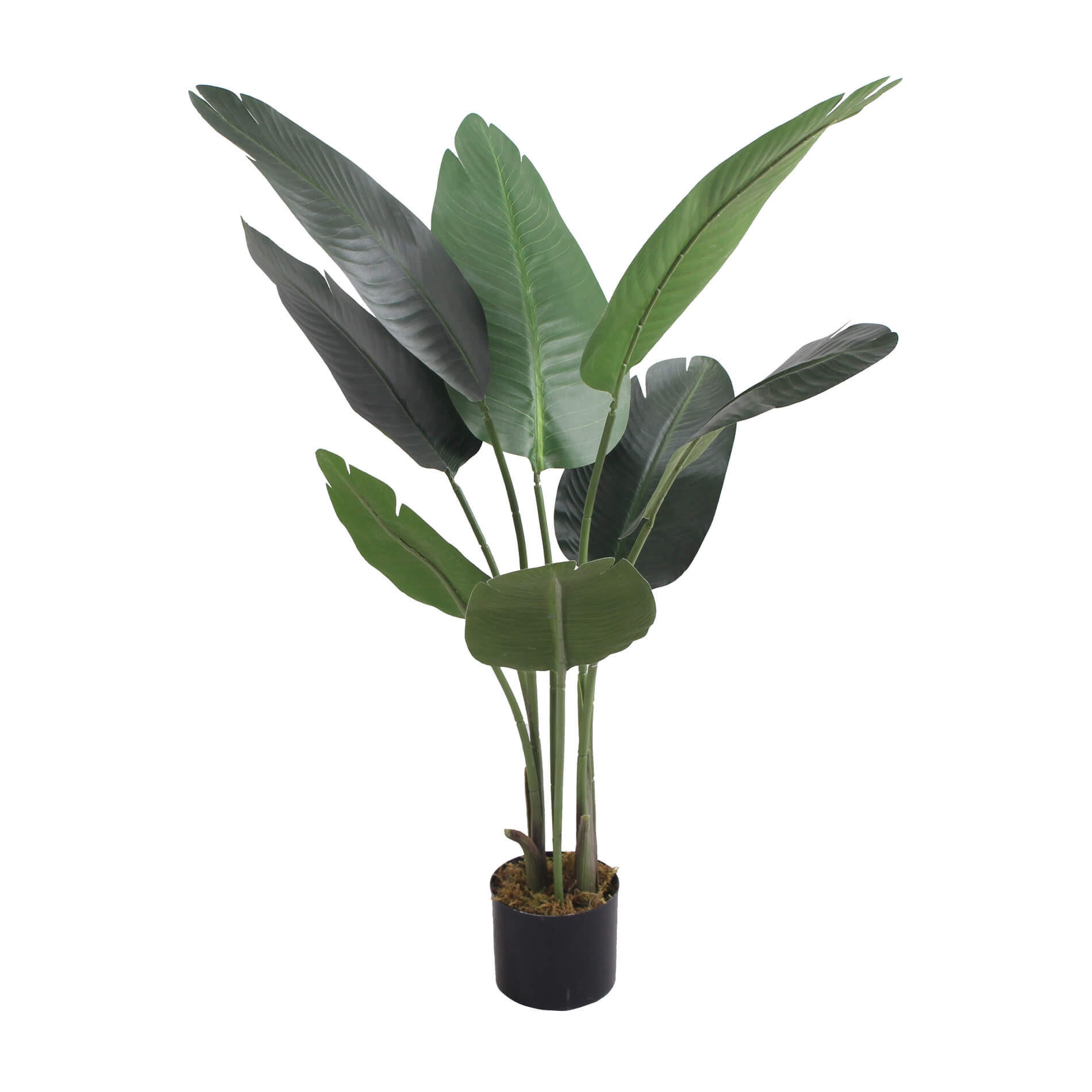 KUNSTPFLANZE Bananenbaum 110 cm - Grün, Kunststoff (110cm)